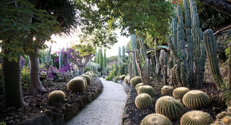 Giardini Ravino, Forio, Italy, Italy